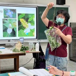 薛淑芬 講師