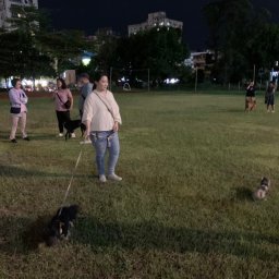 課程圖片 3