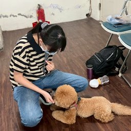 課程圖片 2