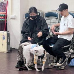 課程圖片 3